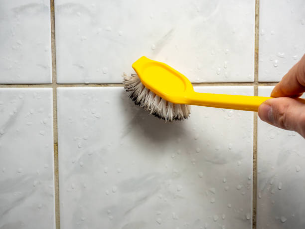 Best Mold Testing  in Springs, NY