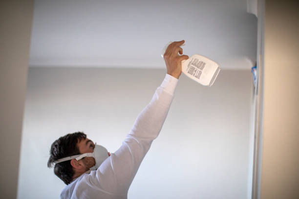 Best Crawl Space Mold Removal  in Springs, NY