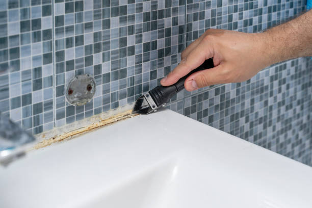 Best Home Mold Removal  in Springs, NY
